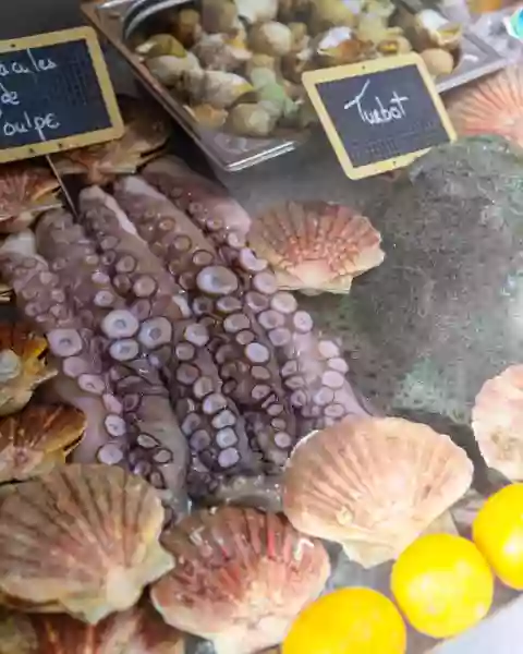 Le restaurant - La Daurade - Marseille - restaurant Fruits de mer Marseille